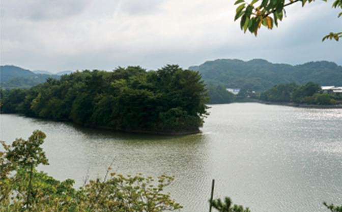 白水大池公園の写真